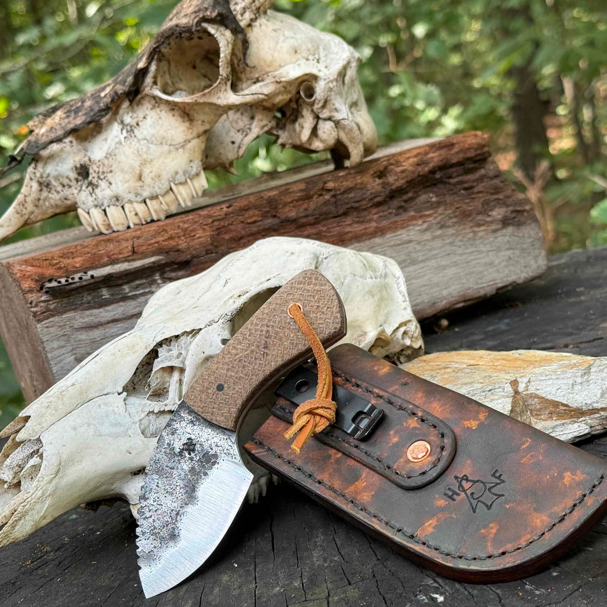 HFS Custom Hunting Season Skinner